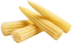 design image corn