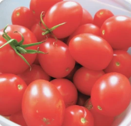 images/products/cherry-tomato/cherry-tomato-in-bowl.webp